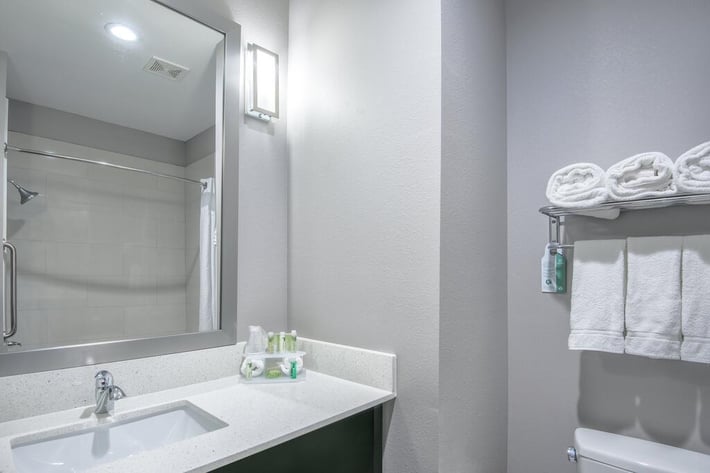 Holiday Inn Express & Suites Houston North - IAH Area