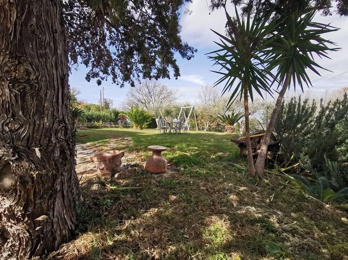 B&B Villa Flora