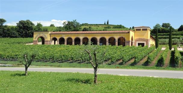 Monte Tondo Winery