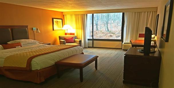Wyndham Garden Inn Hotel Pittsburgh Airport Day Use Pittsburgh