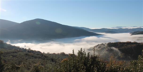 Guesthouse Runcini