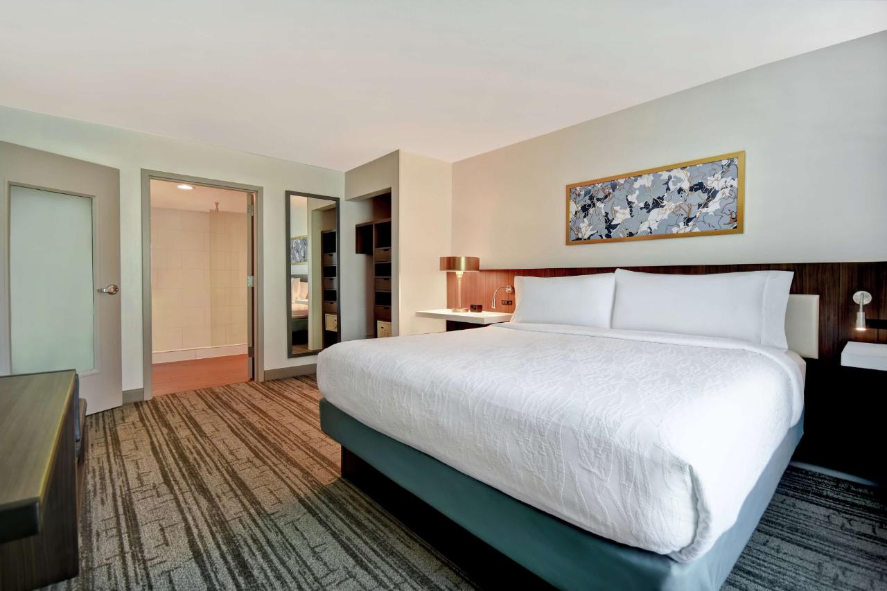 Hilton Garden Inn Houston/Galleria Area