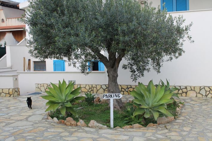 Signorino Resort
