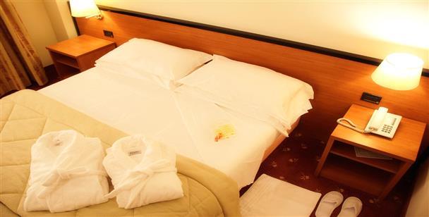 Hotel Executive