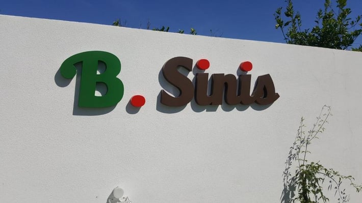 B.SINIS