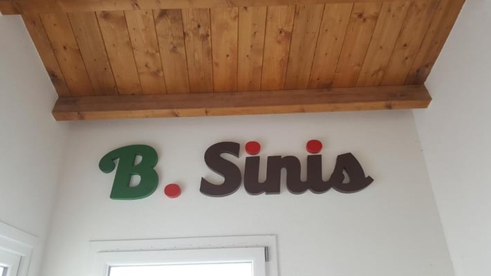 B.SINIS